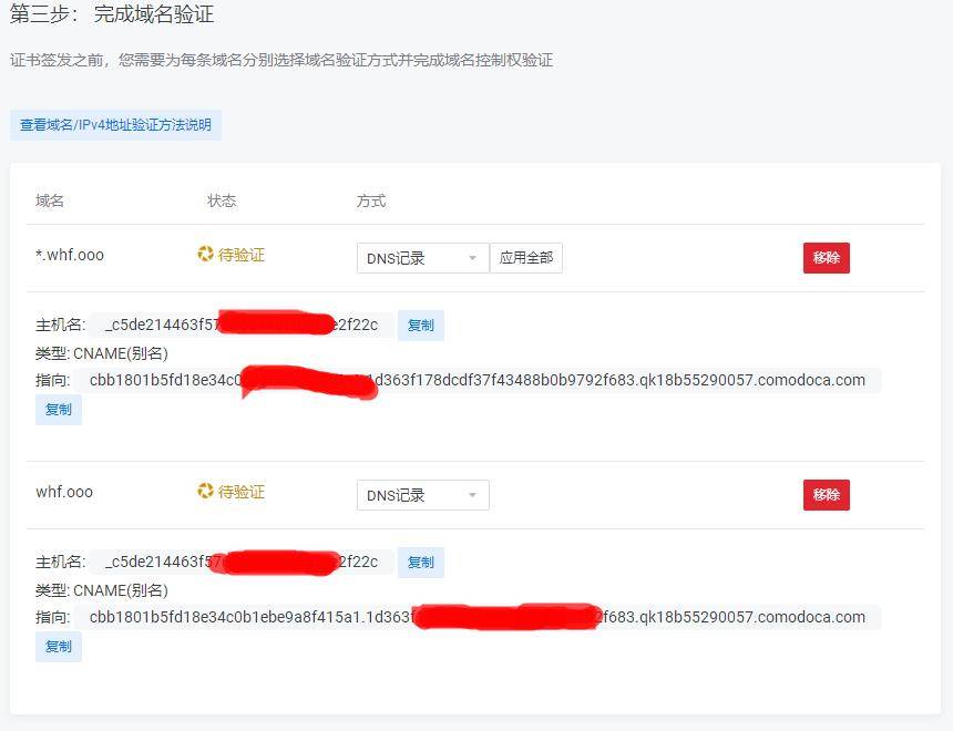 DNS验证